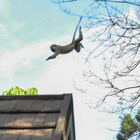 Karama Lodge アルーシャ エクステリア 写真